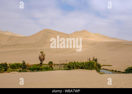 Huacachina Oase in der Wüste, Ica, Peru Stockfoto