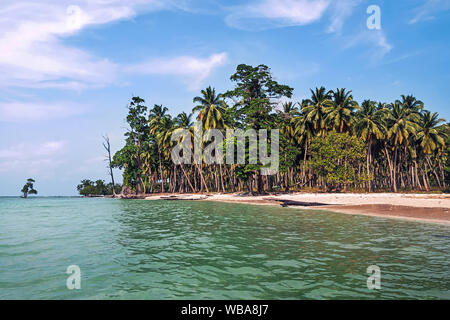 Hohe Kokospalmen über Tropical Island Resort Strand in Fidschi. Palm Grove am Ufer eines tropisch-exotischen Insel Stockfoto