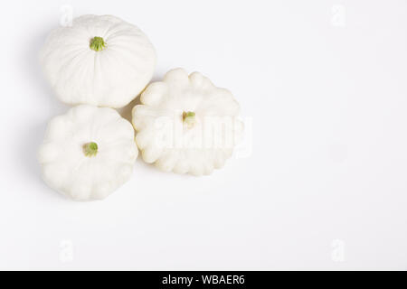 Weiß squash Gemüse auf einem weißen flachen Hintergrund für Dekoration Design. Ansicht von oben, flach. Weißer Hintergrund. Stockfoto