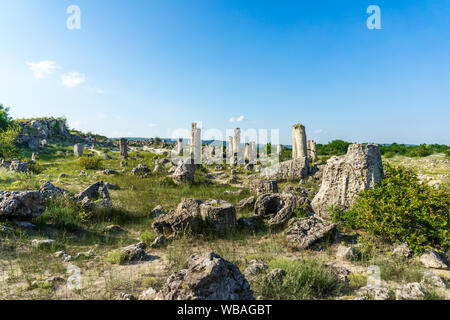 Pobiti Kamani (Steine), die auch als Steinwüste bekannt, ist eine Wüste - wie rock Phänomen auf der North West Provinz Varna Bulgarien entfernt. Stockfoto