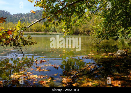 Kovada See National Park ist ein Ort sehenswert im Herbst Stockfoto