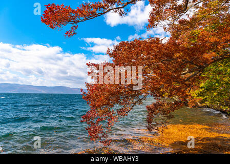 Schönen Herbst Laub Landschaft Landschaften. Herbst ist voll von herrlichen Farben. See Towada, klaren, blauen Himmel und Wasser, weisse Wolke, sonnigen Tag. Aomori Stockfoto