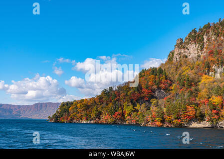 Schönen Herbst Laub Landschaft Landschaften. Herbst ist voll von herrlichen Farben. See Towada, klaren, blauen Himmel und Wasser, weisse Wolke, sonnigen Tag. Aomori Stockfoto