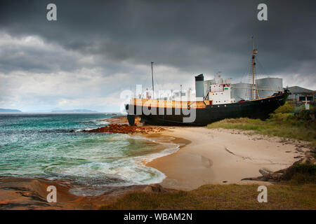 Alte wal Chaser Schiff, Cheynes IV, bei Wal Welt, Museum, das die Geschichte der Walindustrie in der Stadt. Albany, Western Australia Stockfoto