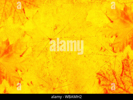 Herbst Hintergrund mit alten Papier Textur und Ahornblätter. Mock up Vorlage. Kopieren Sie Platz für Text Stockfoto