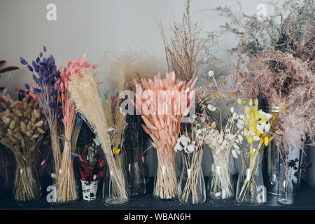 Bunte getrocknete Blumen im Regal Stockfoto