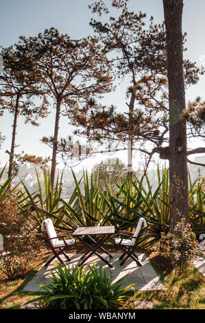 Vintage hölzerne Stühle und Tisch unter Pine Tree mit Agave Sträuchern. Tropische home outdoor Wohnbereich Stockfoto