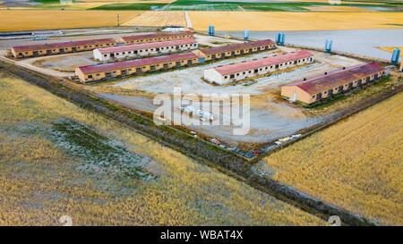 Luftaufnahme von Pig Farm Gebäude in die Landschaft. Landwirtschaft in Spanien Stockfoto
