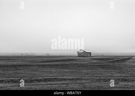 Eine einsame Scheune Haus steht auf den frühen Herbst Felder der ländlichen Finnland. Der Nebel hat die gesamte Landschaft abgedeckt. Stockfoto