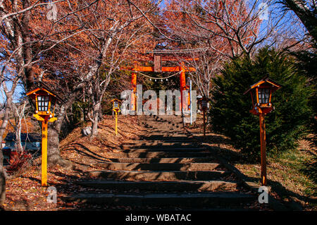 Rote Torii Tor der Chureito Pagode Schrein Eingang mit Treppe unter Herbst Ahorn Shimoyoshida - Arakurayama Fujiyoshida Sengen Park in der Nähe von Stockfoto