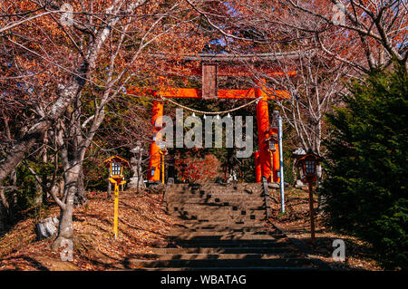 Rote Torii Tor der Chureito Pagode Schrein Eingang mit Treppe unter Herbst Ahorn Shimoyoshida - Arakurayama Fujiyoshida Sengen Park in der Nähe von Stockfoto