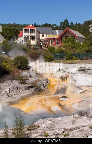 Hot Schwefel Quellen in der geothermischen Feld von Whakarewarewa, Rotorua, North Island, Neuseeland Stockfoto