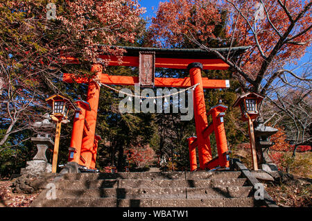 Rote Torii Tor der Chureito Pagode Schrein Eingang mit Treppe unter Herbst Ahorn Shimoyoshida - Arakurayama Fujiyoshida Sengen Park in der Nähe von Stockfoto