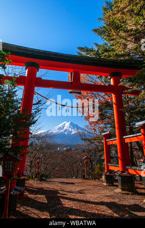 Rote Torii Tor der Chureito Pagode und schneebedeckten Mount Fuji unter Herbst blauer Himmel in der Mitte. - Shimoyoshida Arakurayama Sengen Park in Fujiyoshida n Stockfoto