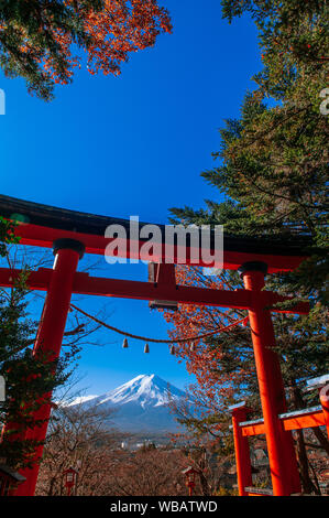 Rote Torii Tor der Chureito Pagode und schneebedeckten Mount Fuji unter Herbst blauer Himmel in der Mitte. - Shimoyoshida Arakurayama Sengen Park in Fujiyoshida n Stockfoto