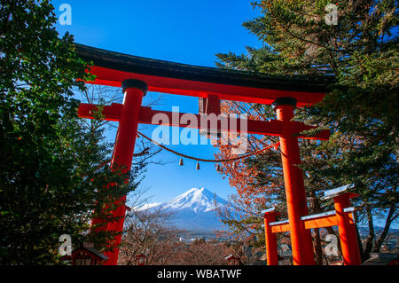 Rote Torii Tor der Chureito Pagode und schneebedeckten Mount Fuji unter Herbst blauer Himmel in der Mitte. - Shimoyoshida Arakurayama Sengen Park in Fujiyoshida n Stockfoto