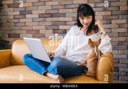 Junge glücklich lächelnde asiatische Frau mit Laptop auf dem Schoß und Chihuahua Welpen pet sitzen zusammen auf dem Sofa in der gemütlichen Home Stockfoto