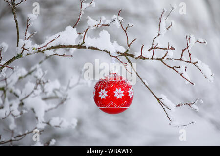Rote Weihnachtskugel hängend an einem verschneiten Zweig. Schweiz Stockfoto