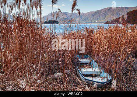 Alte kaputte Ruderboot wurden gehaftet auf Kawaguchiko See mit hohen trockenes Gras überwucherten Litze Stockfoto