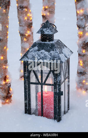 Laterne mit beleuchteten Birke Baumstämme im Schnee. Schweiz Stockfoto