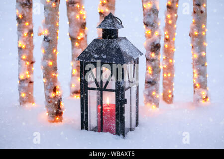 Laterne mit beleuchteten Birke Baumstämme im Schnee. Schweiz Stockfoto