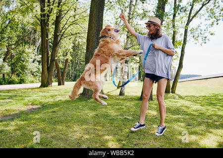 Junge Frau, die das Spielen mit ihrem Hund im Park, was ihn für Jump behandelt Stockfoto