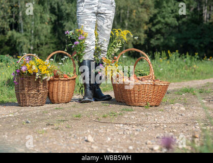 Frau in Gummistiefel mit Körben von Pilzen und Blumen auf der Forststraße, die Frau ist an der Taille fotografiert. Stockfoto