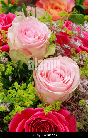 Blumenstrauß aus Rosen, close-up. Schweiz Stockfoto