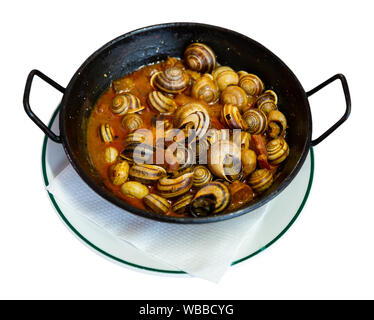 Vorspeise von Weinbergschnecken geschmort mit Chorizo in schwarz Braten serviert pan. Spanische Küche. Auf weissem Hintergrund Stockfoto