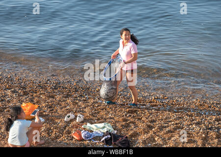 Hastings, East Sussex, UK. 26 Aug, 2019. Auf ein weiteres sehr heißen Tag in Hastings ein Mädchen schaufelt sich net fulls von whitebait angetrieben onshore von Makrelen jagen Sie in die Untiefen. Credit: Carolyn Clarke/Alamy leben Nachrichten Stockfoto