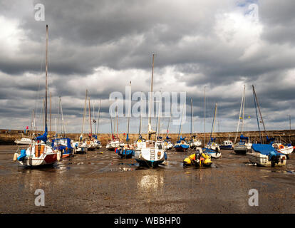 Fisherrow Hafen bei Ebbe, Musselburgh, East Lothian, Schottland, Großbritannien. Stockfoto