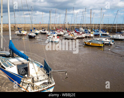 Fisherrow Hafen bei Ebbe, Musselburgh, East Lothian, Schottland, Großbritannien. Stockfoto