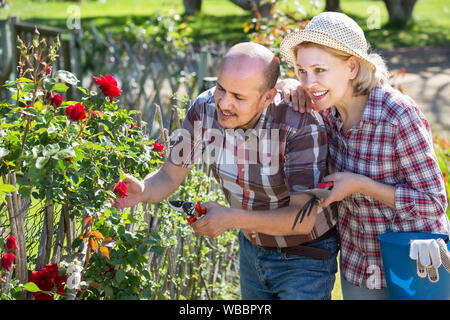 Reifen lachen Paar im Garten Im Garten im Hinterhof eingerückt Stockfoto