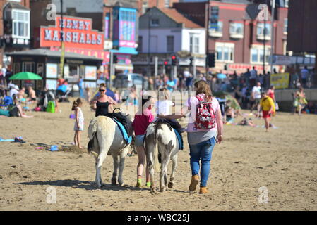 Eselreiten am Strand, South Bay Beach, Scarborough, North Yorkshire, Großbritannien, 26. August 2019, Wetter: Heißer und sonniger Feiertag im August Montagmorgen und Temperaturrekorde werden voraussichtlich in Ostengland für den Spätsommerurlaub brechen. Die Menschen strömen kilometerweit zum Meer und Strand, um in dieser traditionellen englischen Küstenstadt an der Nordostküste Spaß in der Sonne zu haben. Stockfoto