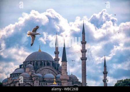 Bewölkten Tag und Suleymaniye Moschee Stockfoto