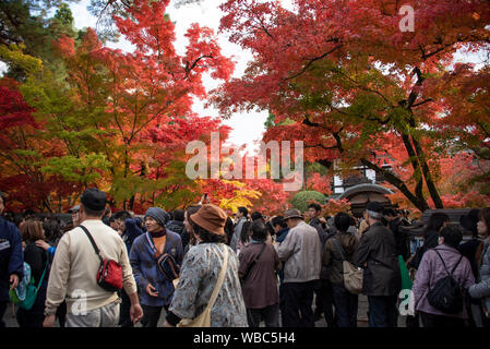 Große Menschenmengen besucht Tofuku-ji Tempel, Kyoto, Japan Stockfoto