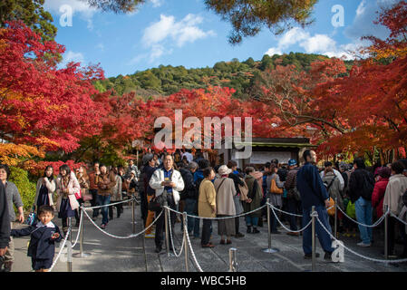 Große Menschenmengen besucht Tofuku-ji Tempel, Kyoto, Japan Stockfoto