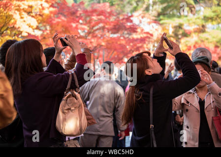 Große Menschenmengen besucht Tofuku-ji Tempel, Kyoto, Japan Stockfoto