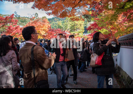 Große Menschenmengen besucht Tofuku-ji Tempel, Kyoto, Japan Stockfoto