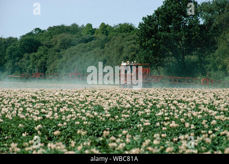 Spritzen KARTOFFELERNTE mit motorbetriebenen Feldspritze, Maschinen. Norfolk, East Anglia, Großbritannien Stockfoto