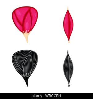 Isoliertes Objekt der Faser und muskulös Logo. Sammlung von Faser- und Körper vektor Illustration. Stock Vektor