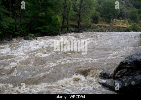 Wilder Fluss Strömung des Flusses Noguera Pallaresa zwischen Sortieren und Llavorsi, Catalunya Spanien Stockfoto