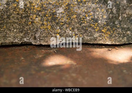 Textur einer konkreten und rostigem Eisen Oberfläche - Makro Foto. Hintergrund. Stockfoto