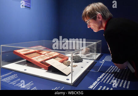 Weimar, Deutschland. 26 Aug, 2019. Ulrike Lorenz, Präsident der Klassik Stiftung Weimar, untersucht die Exponate in der Ausstellung "Abenteuer der Vernunft. Goethe und die Naturwissenschaften um 1800". Unter anderem die Klassik Stiftung zeigt 400 Objekte aus der eigenen wissenschaftlichen Sammlung Goethes von 23.000 Tierische und pflanzliche Zubereitungen, Mineralien und experimentelle Geräte von Johann Wolfgang von Goethes eigenen Naturwissenschaftliche Sammlung in der Show, die auf der Schiller Museum Weimar vom 27. August bis zum 5. Januar gesehen werden kann. Foto: Martin Schutt/dpa-Zentralbild/dpa/Alamy leben Nachrichten Stockfoto