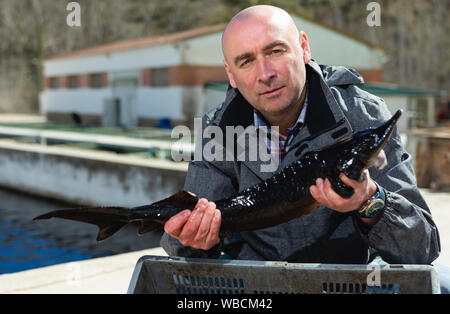 Stolz männliche Inhaber der Fischzucht in der Nähe von Pools mit frischen Störe in den Händen Stockfoto