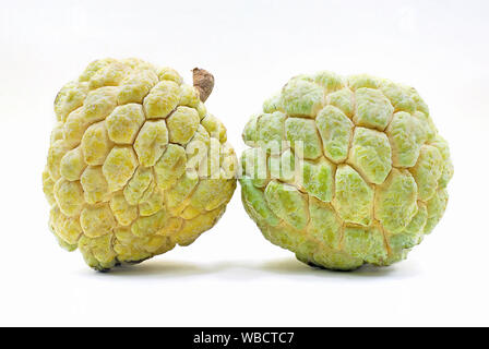 Annona oder Custard Apple auf weißem Hintergrund Stockfoto