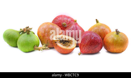 Ficus racemosa auf weißem Hintergrund Stockfoto