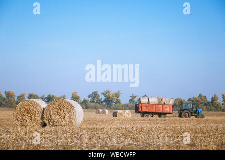 Kaution Heu ernten in der wundervollen Herbst Bauern feld landschaft mit Heu Stacks Stockfoto