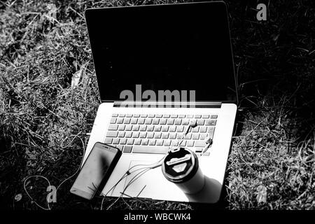 Studenten leben. Online shopping. agiles Unternehmen. Online Studie. Sommer vibes. Entspannen. Arbeitsplatz outdoor. Freie Musik. Laptop mit Headset für Mobiltelefon und Kaffee auf grünem Gras zu gehen. Stockfoto