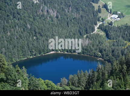 Feldberg im Schwarzwald, Deutschland. 26 Aug, 2019. Der Raimartihof liegt in der Nähe der Feldsee gelegen. Quelle: Patrick Seeger/dpa/Alamy leben Nachrichten Stockfoto